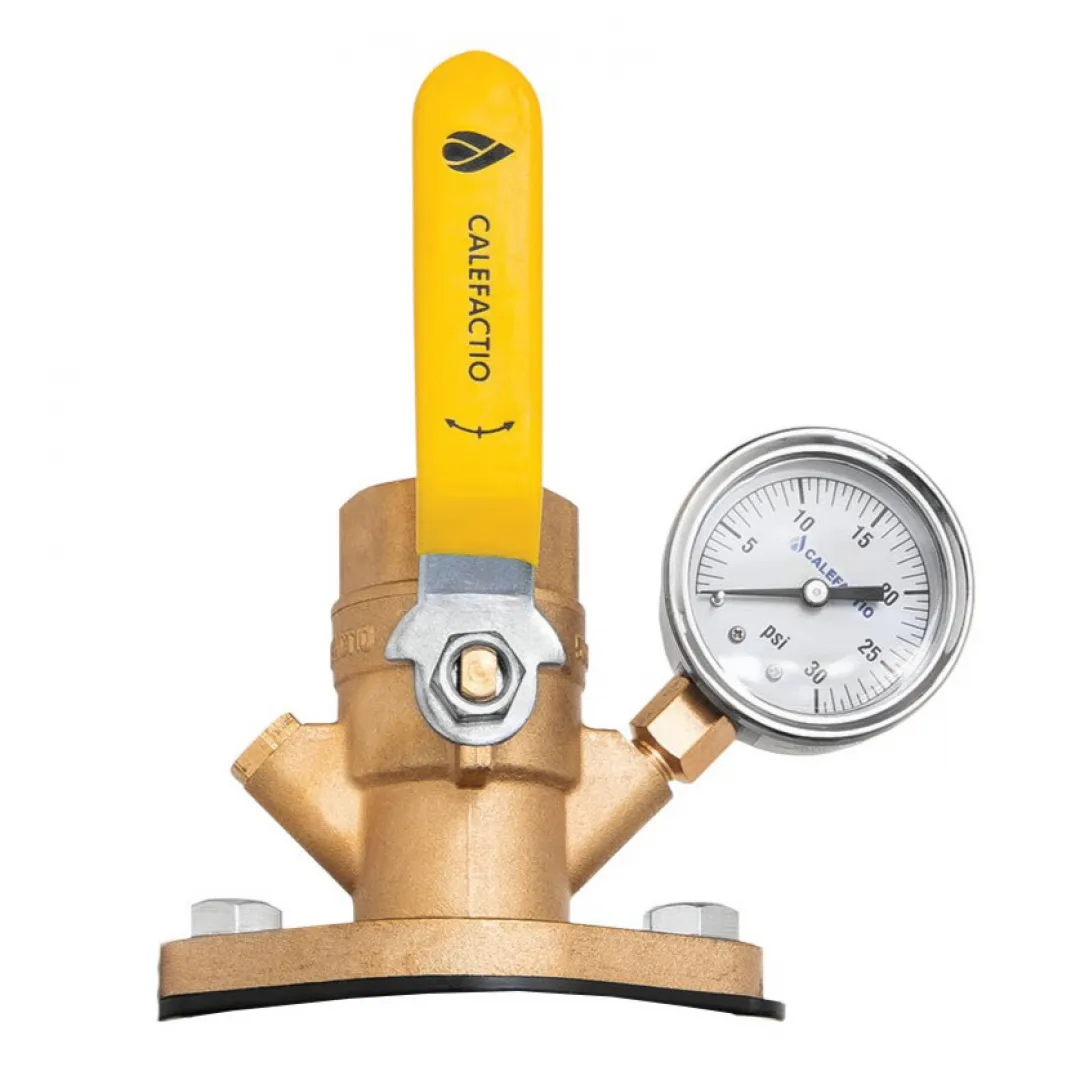 CALEFACTIO Calefactio Isolation Flange With Drain - NPT